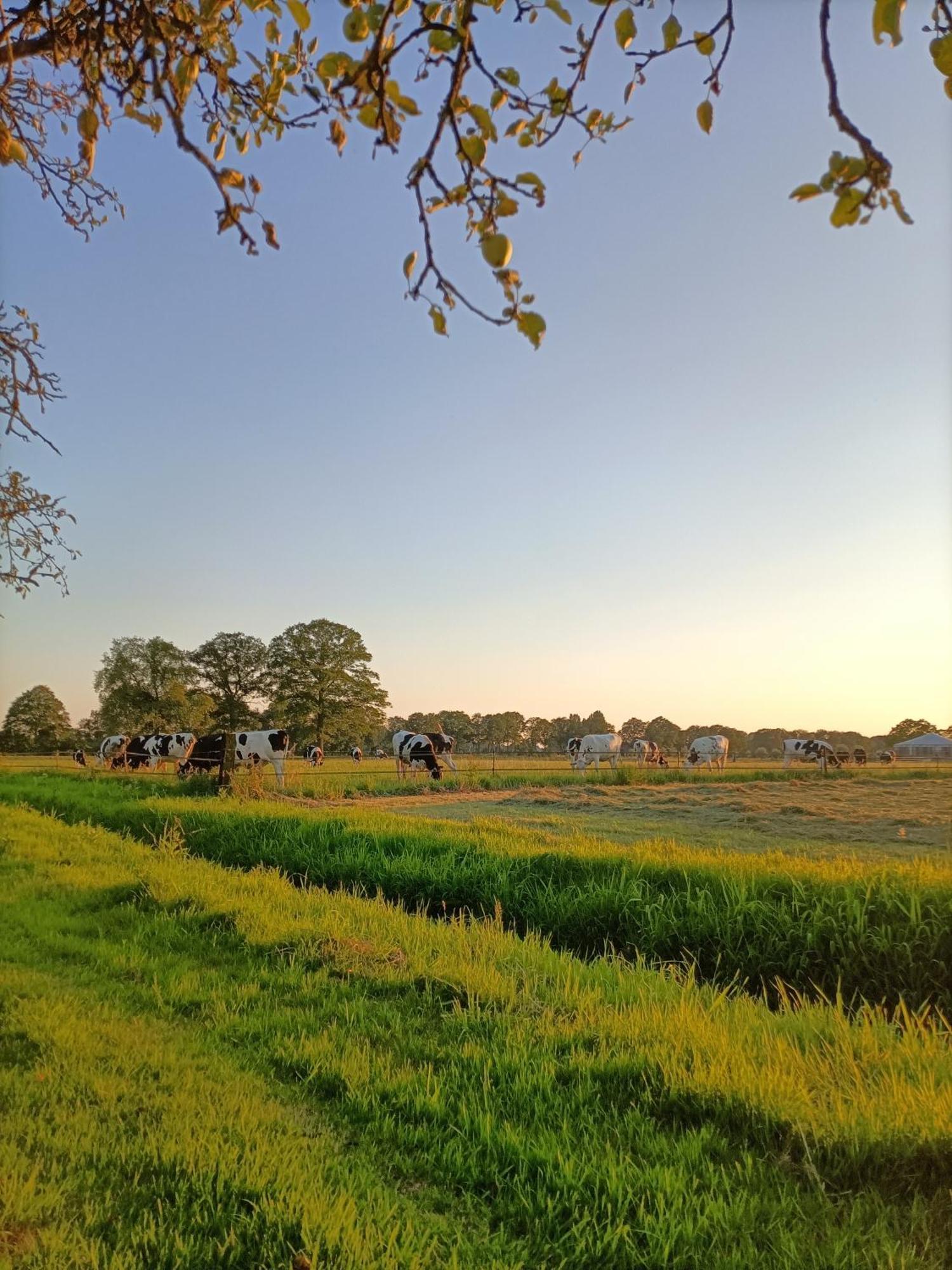 Bed And Breakfast, De Heidedijk Terborg Exteriér fotografie